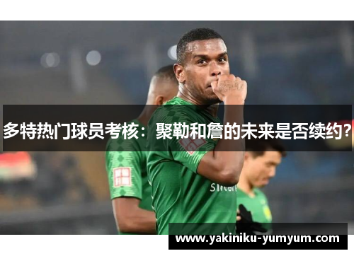 多特热门球员考核：聚勒和詹的未来是否续约？